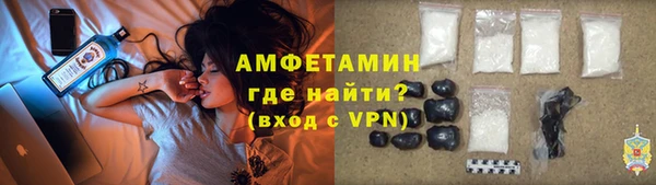 сатива Алзамай